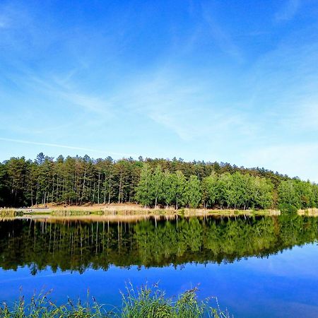 Sztar Motel Etterem Balassagyarmat Экстерьер фото